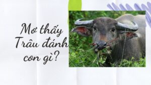 Mơ thấy mổ trâu đánh đề con gì? Giải mã 100% ý nghĩa giấc mơ